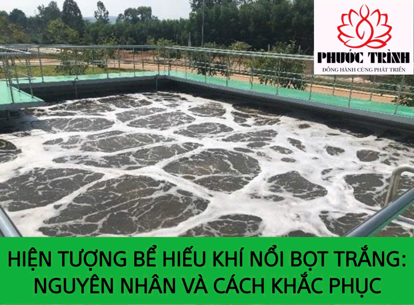 HIỆN TƯỢNG BỂ HIẾU KHÍ NỔI BỌT TRẮNG: NGUYÊN NHÂN VÀ CÁCH KHẮC PHỤC