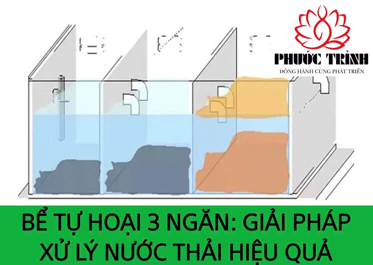 BỂ TỰ HOẠI 3 NGĂN: GIẢI PHÁP XỬ LÝ NƯỚC THẢI HIỆU QUẢ