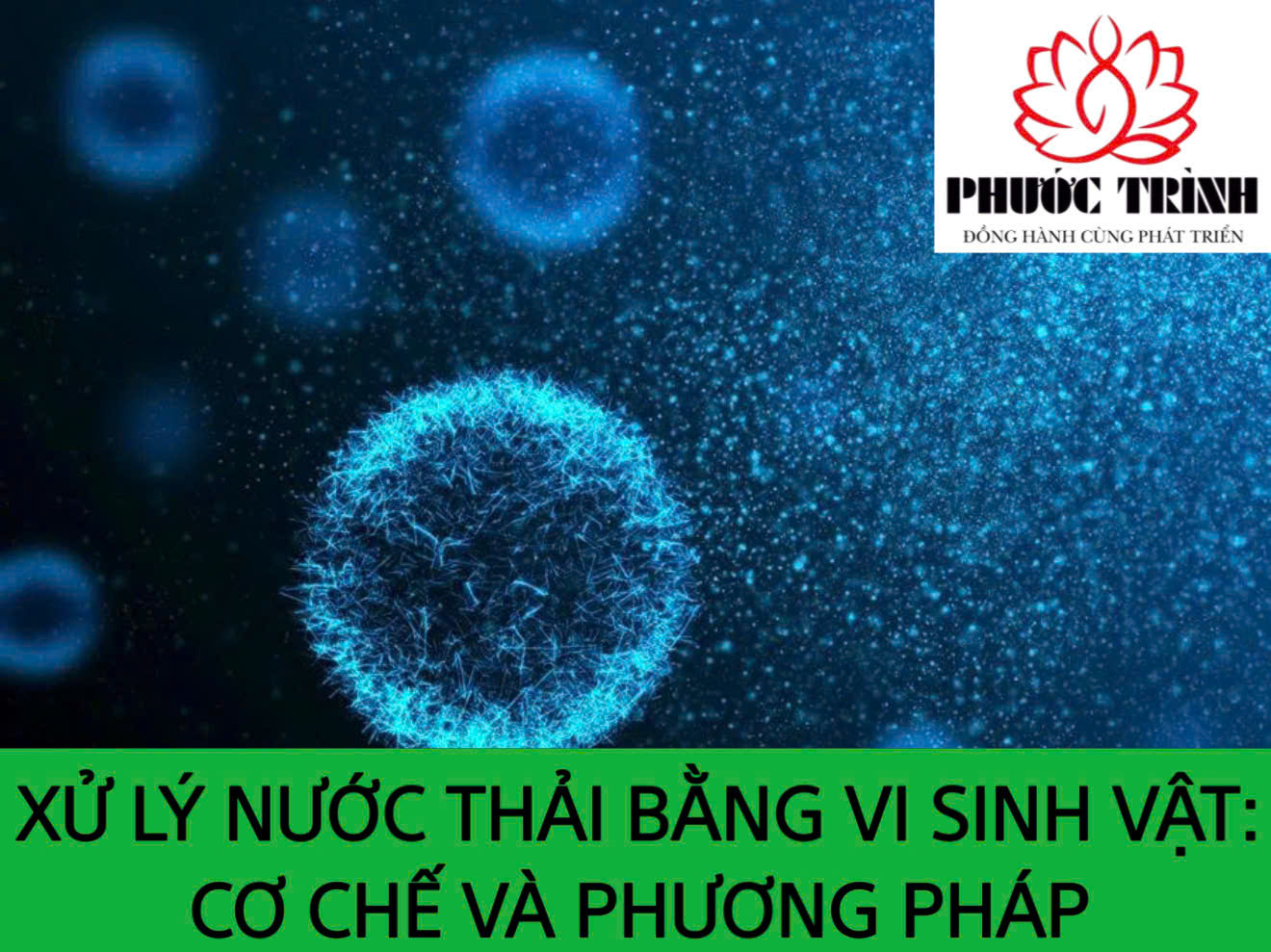XỬ LÝ NƯỚC THẢI BẰNG VI SINH VẬT: CƠ CHẾ VÀ PHƯƠNG PHÁP