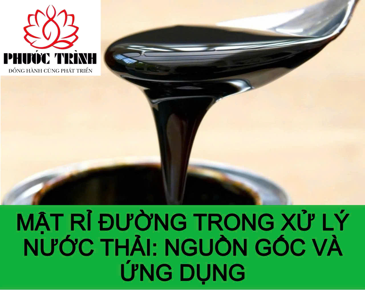MẬT RỈ ĐƯỜNG TRONG XỬ LÝ NƯỚC THẢI: NGUỒN GỐC VÀ ỨNG DỤNG