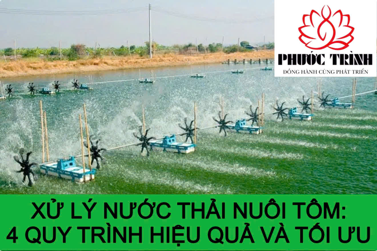 XỬ LÝ NƯỚC THẢI NUÔI TÔM: 4 QUY TRÌNH HIỆU QUẢ VÀ TỐI ƯU