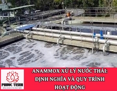 ANAMMOX XỬ LÝ NƯỚC THẢI: ĐỊNH NGHĨA VÀ QUY TRÌNH HOẠT ĐỘNG