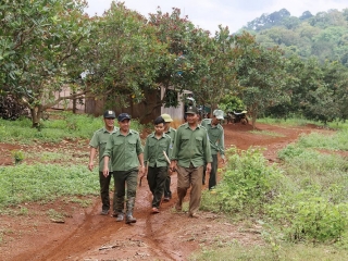 Đắk Nông: Hiệu quả từ công tác chi trả dịch vụ môi trường rừng