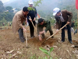 Hàng trăm hecta đồi cát ở Quảng Bình được phủ xanh sau khai thác khoáng sản