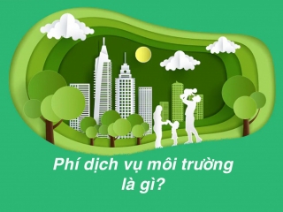 Phí dịch vụ môi trường là gì? Thuế và phí môi trường được quy định như thế nào?