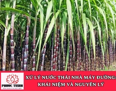 XỬ LÝ NƯỚC THẢI NHÀ MÁY ĐƯỜNG: KHÁI NIỆM VÀ NGUYÊN LÝ